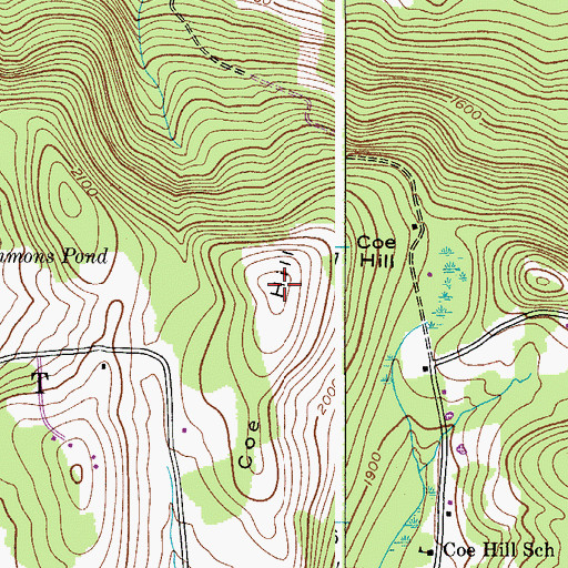 Topographic Map of Coe Hill, NY