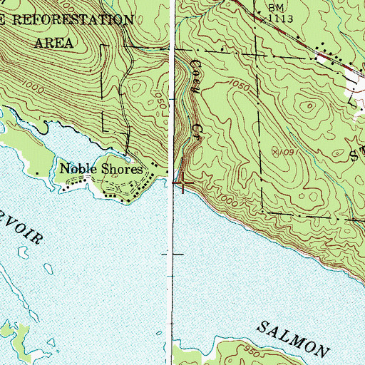 Topographic Map of Coey Creek, NY