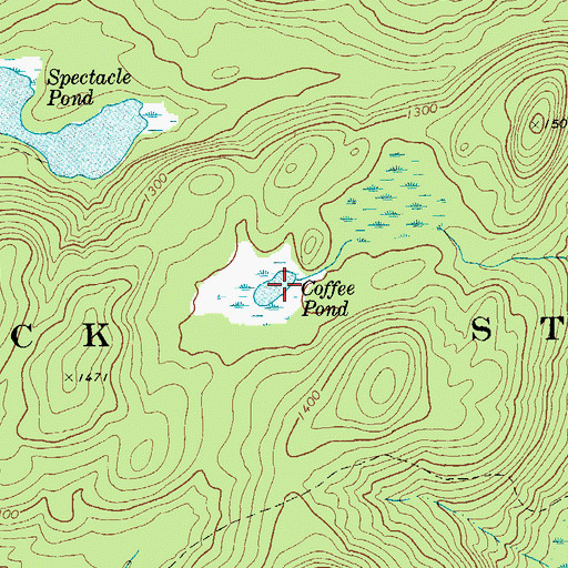 Topographic Map of Coffee Pond, NY