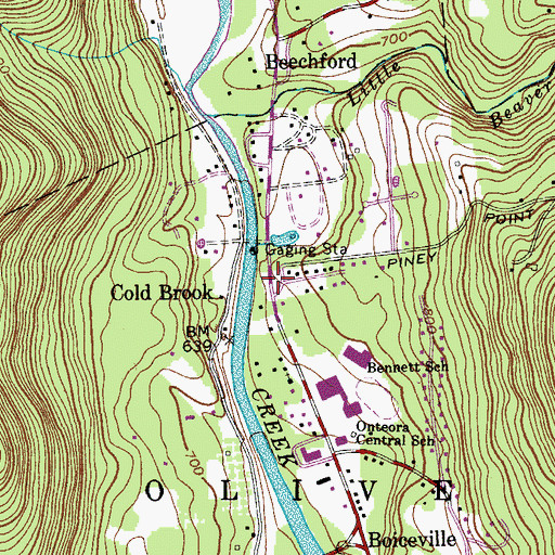 Topographic Map of Cold Brook, NY