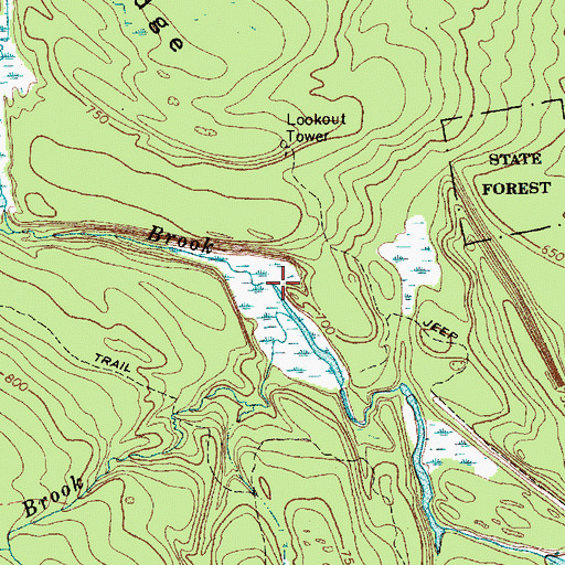 Topographic Map of Cold Brook, NY