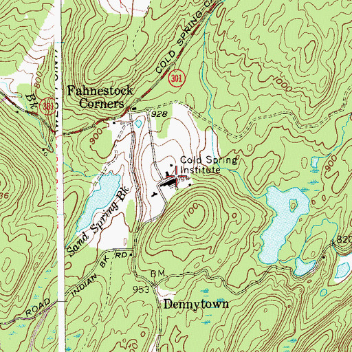 Topographic Map of Cold Spring Institute, NY