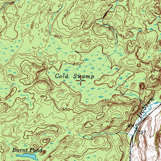 Topographic Map of Cold Swamp, NY
