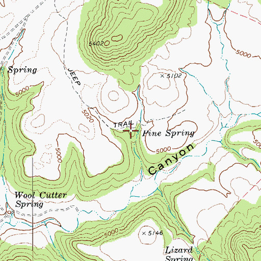 Topographic Map of Pine Spring, AZ