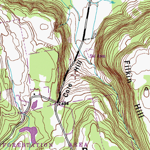 Topographic Map of Cole Hill, NY