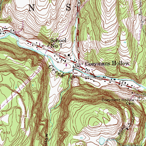 Topographic Map of Cole Hollow, NY