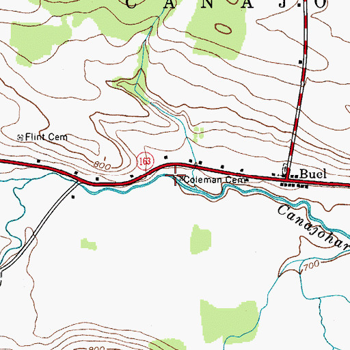 Topographic Map of Coleman Cemetery, NY