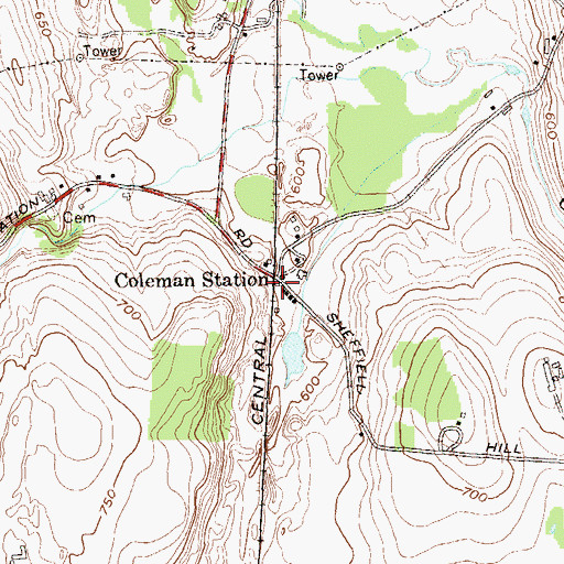 Topographic Map of Coleman Station, NY