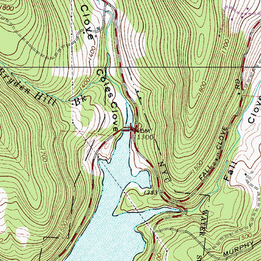 Topographic Map of Coles Clove, NY