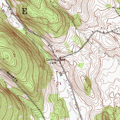 Topographic Map of Collins Cemetery, NY