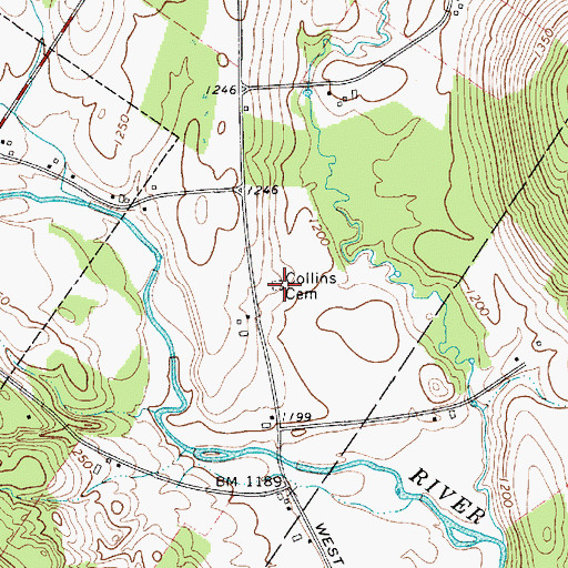 Topographic Map of Collins Cemetery, NY