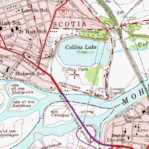 Topographic Map of Collins Park, NY