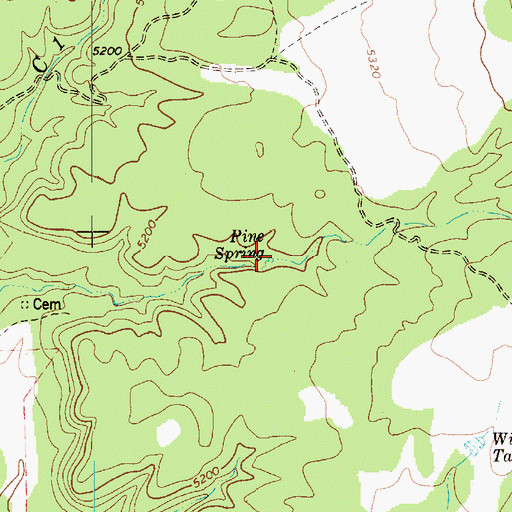 Topographic Map of Pine Spring, AZ