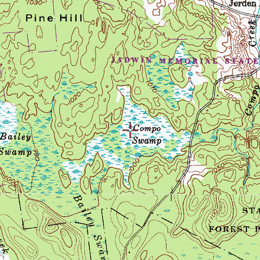 Topographic Map of Compo Swamp, NY