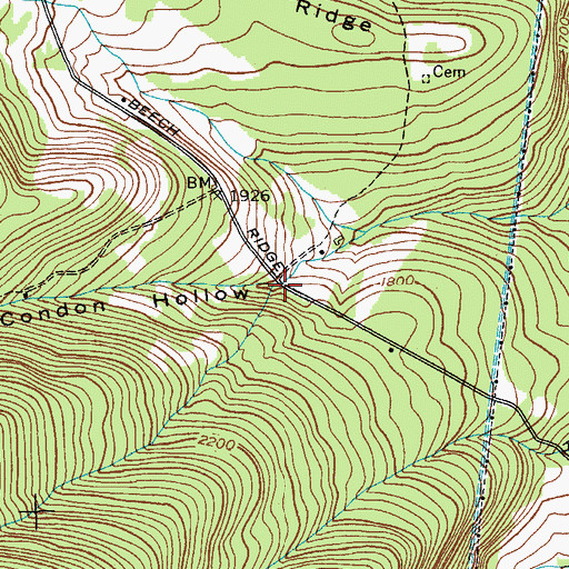 Topographic Map of Condon Hollow, NY