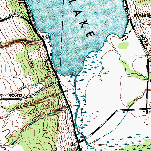 Topographic Map of Conesus Inlet, NY