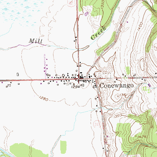 Topographic Map of Conewango, NY