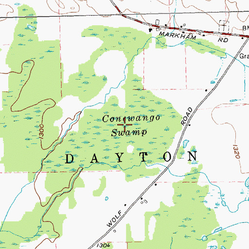 Topographic Map of Conewango Swamp, NY