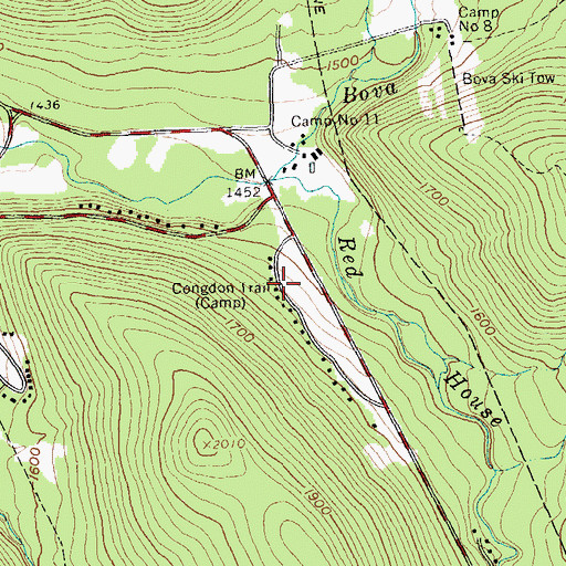 Topographic Map of Congdon Trail, NY