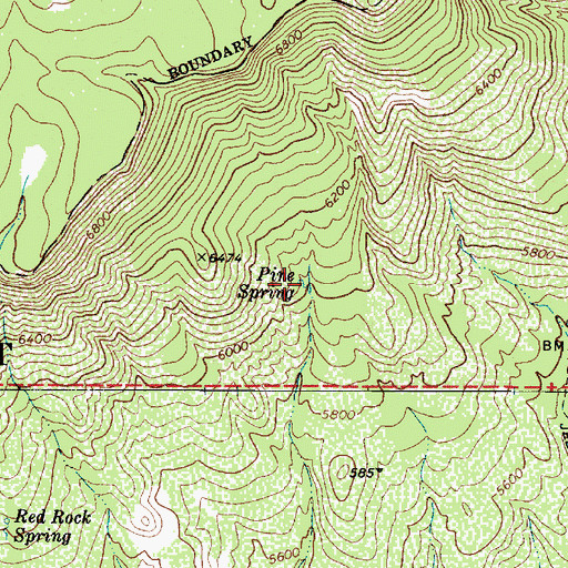 Topographic Map of Pine Spring, AZ