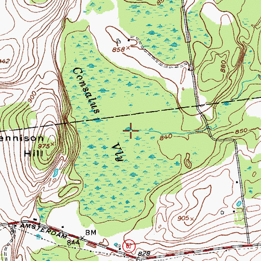 Topographic Map of Consalus Vly, NY