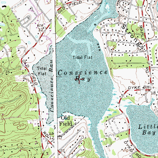 Topographic Map of Conscience Bay, NY