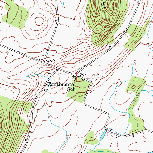 Topographic Map of Continental School, NY