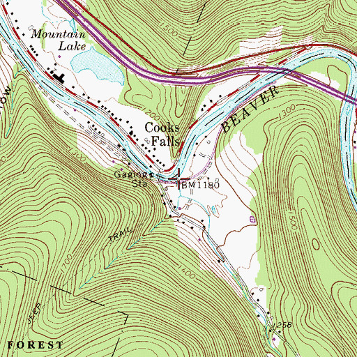 Topographic Map of Cook Brook, NY