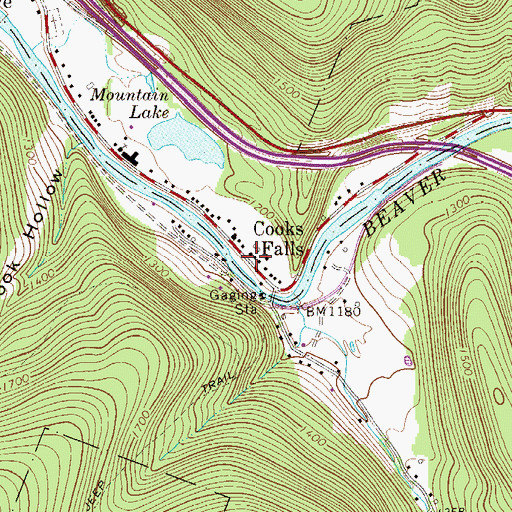 Topographic Map of Cooks Falls, NY