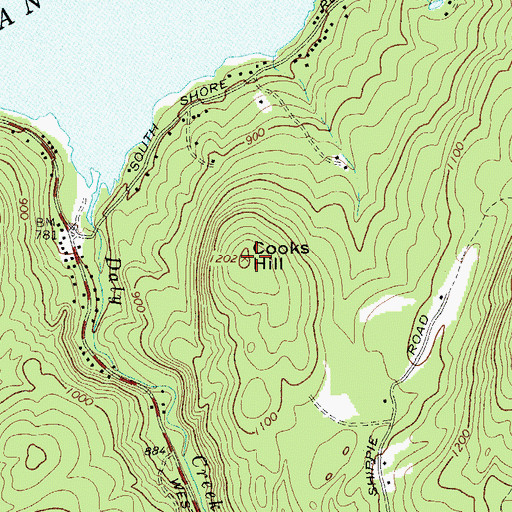 Topographic Map of Cooks Hill, NY