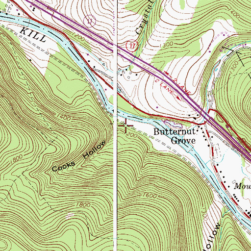 Topographic Map of Cooks Hollow, NY