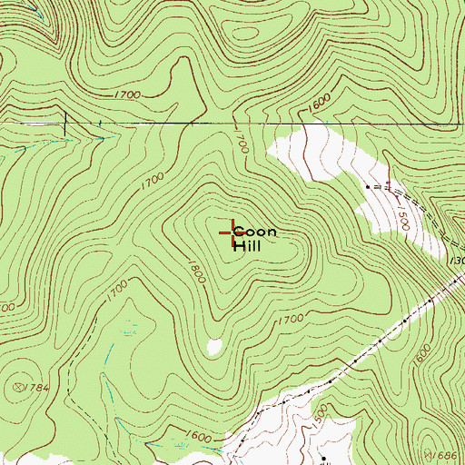 Topographic Map of Coon Hill, NY
