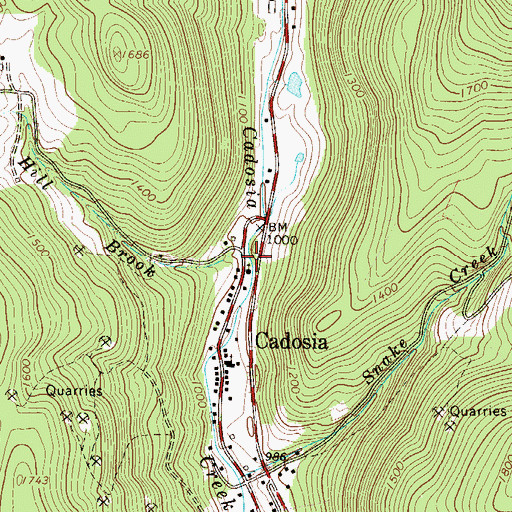 Topographic Map of Coon Hill Brook, NY