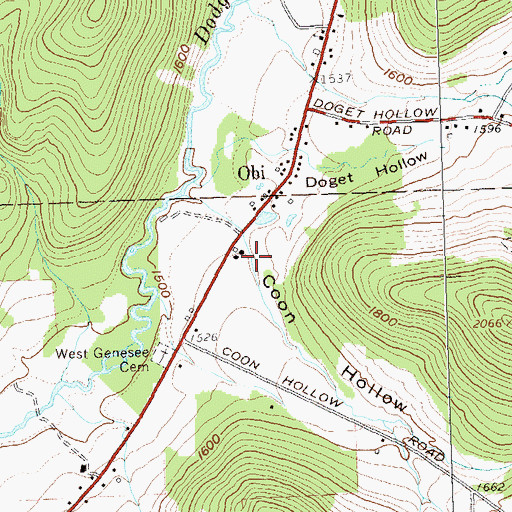 Topographic Map of Coon Hollow, NY