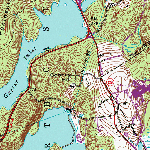 Topographic Map of Cooney Hill, NY