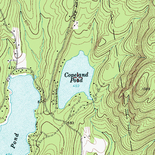 Topographic Map of Copeland Pond, NY