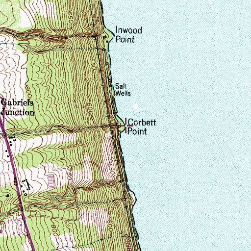 Topographic Map of Corbett Point, NY