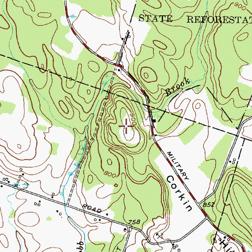 Topographic Map of Corkin Hill, NY
