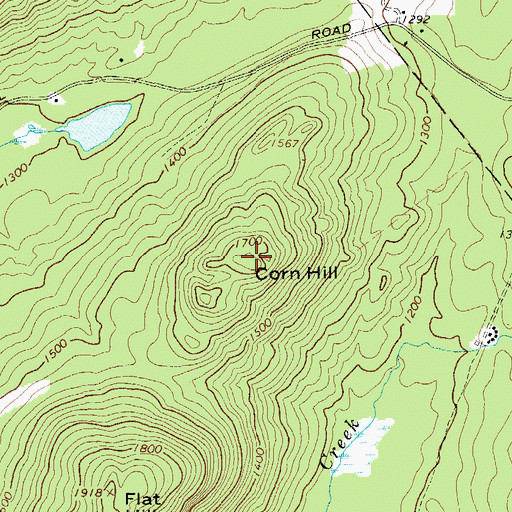 Topographic Map of Corn Hill, NY