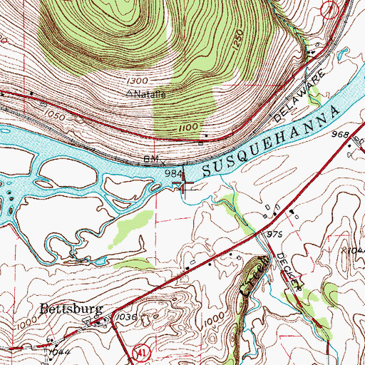 Topographic Map of Cornell Creek, NY