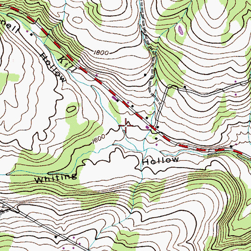 Topographic Map of Cornell Hollow, NY