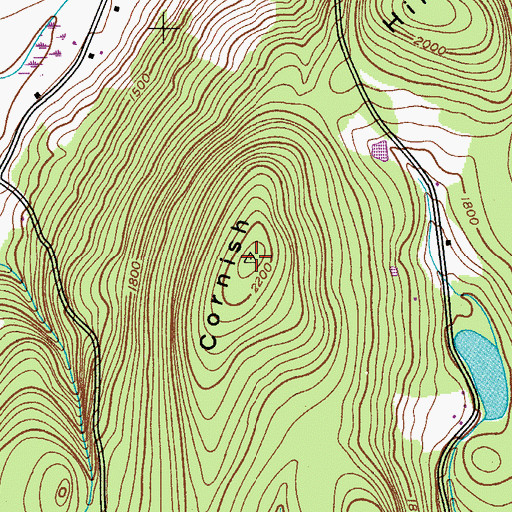 Topographic Map of Cornish Hill, NY