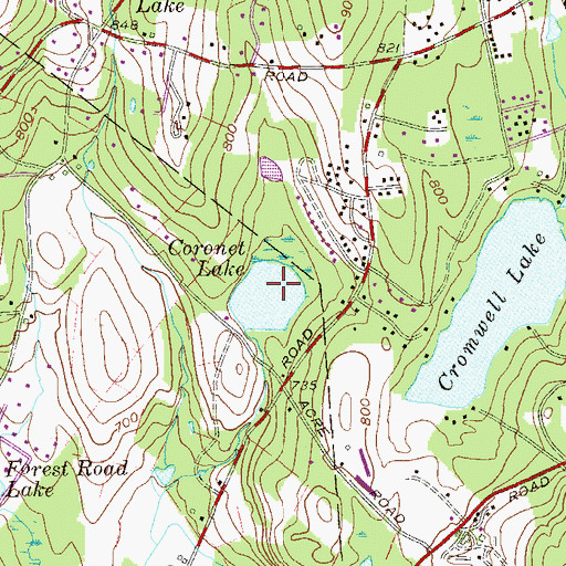 Topographic Map of Coronet Lake, NY