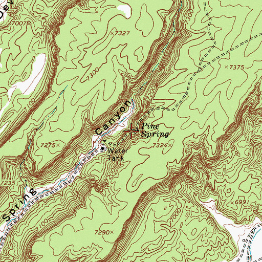 Topographic Map of Pine Spring, AZ