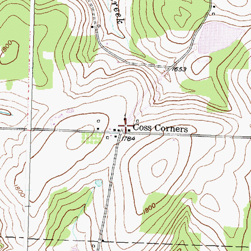 Topographic Map of Coss Corners, NY