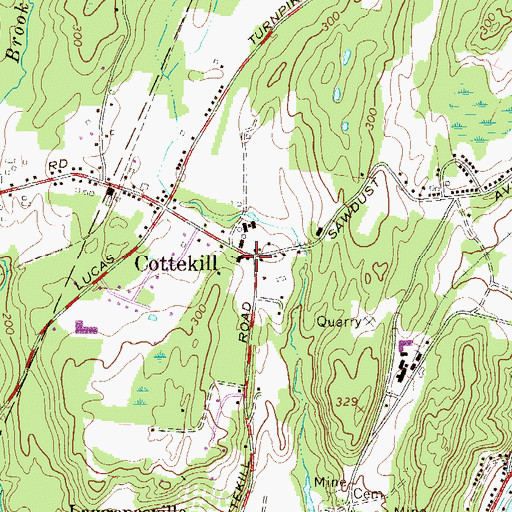 Topographic Map of Cottekill, NY