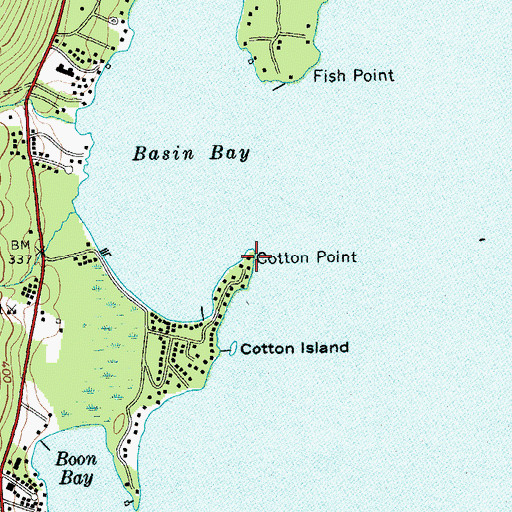 Topographic Map of Cotton Point, NY