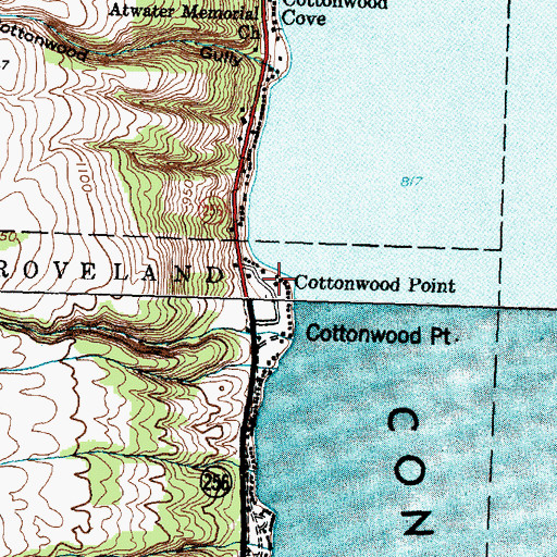 Topographic Map of Cottonwood Point, NY
