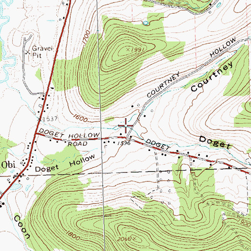 Topographic Map of Courtney Hollow, NY