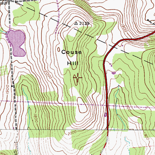 Topographic Map of Couse Hill, NY